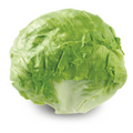 Lechuga repollada lb